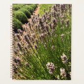 Boerderij lavender planner (Voorkant)