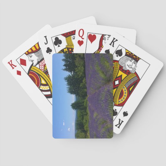 Boerderij lavender pokerkaarten (Achterkant)