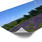 Boerderij lavender poster (Hoek)
