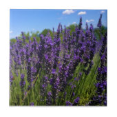 Boerderij lavender tegeltje (Voorkant)