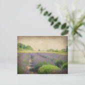 Boerderij lavender - Verstoord Briefkaart (Staand voorkant)