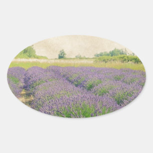 Boerderij lavender - Verstoord Ovale Sticker
