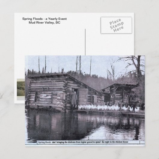 Boerderij Lente Overstroming 1920s Briefkaart (Voorkant / Achterkant)