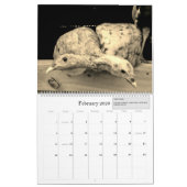 Boerderij leven - Donkere moonproductie - 2021 Kalender (Feb 2026)