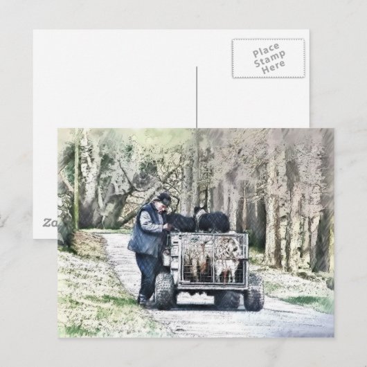 BOERDERIJ LIFE BRIEFKAART (Voorkant / Achterkant)