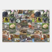 Boerderij Life fotocollage, geschenkwikkelbladen, Inpakpapier Vel (Voorkant 3)