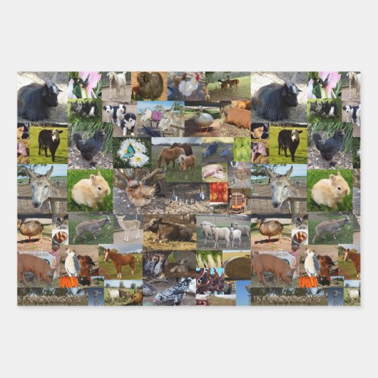 Boerderij Life fotocollage, geschenkwikkelbladen, Inpakpapier Vel (Voorkant 3)