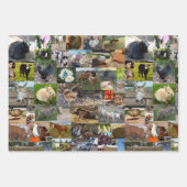 Boerderij Life fotocollage, geschenkwikkelbladen, Inpakpapier Vel (Voorkant 2)