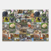 Boerderij Life fotocollage, geschenkwikkelbladen, Inpakpapier Vel (Voorkant)