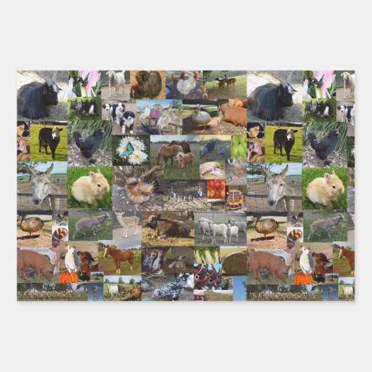 Boerderij Life fotocollage, geschenkwikkelbladen, Inpakpapier Vel (Voorkant)