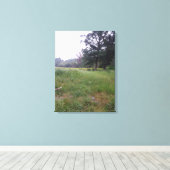 Boerderij life in Illinois Canvas Afdruk (Insitu (Houten vloer))