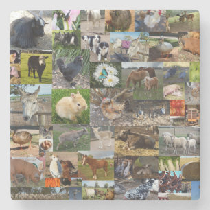 Boerderij Life Photo Collage Stenen Onderzetter
