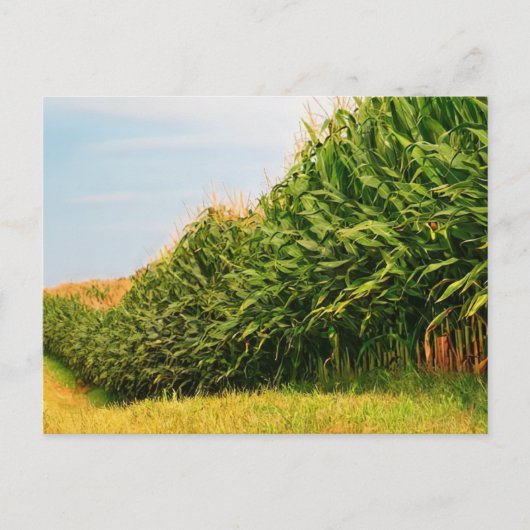Boerderij Life USA Corn Crop Briefkaart (Voorkant)