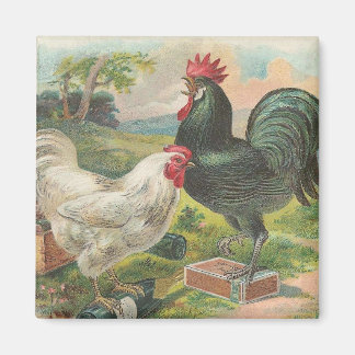  Boerderij Magneet
