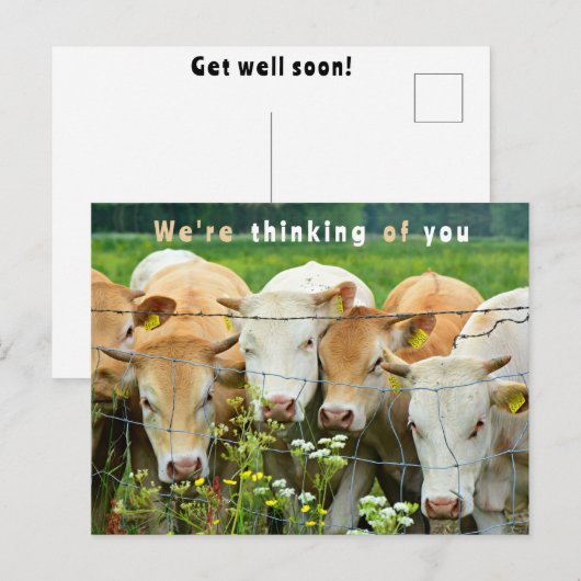 Boerderij met Bloemen voor Snel Beter op de Ranch Briefkaart (Voorkant / Achterkant)