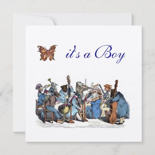 BOERDERIJ ORCHESTRA BUTTERFLY BOY BABY SHOWER KAART (Voorkant)