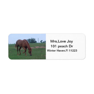 Boerderij Paard Adres Labels