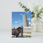 Boerderij paard briefkaart (Staand voorkant)