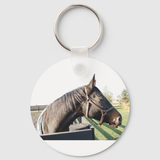 Boerderij paard sleutelhanger (Voorkant)