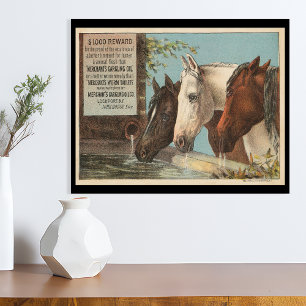 Boerderij Paarden Drink Water Advertentie Ephemera Perfect Poster