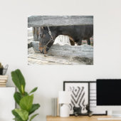 Boerderij PaardenHumor Poster (Thuiskantoor)