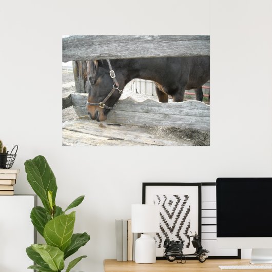 Boerderij PaardenHumor Poster (Thuiskantoor)