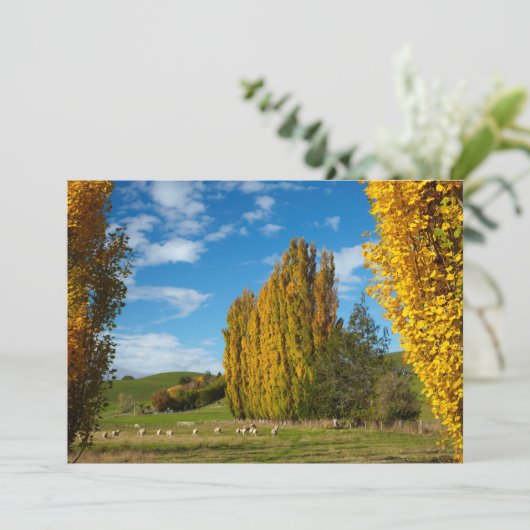 Boerderij Pasture met schaap Bedankkaart (Staand voorkant)