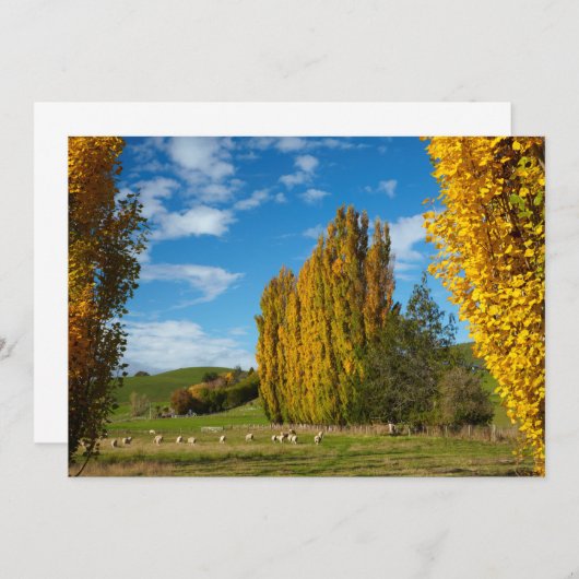 Boerderij Pasture met schaap Bedankkaart (Voorkant / Achterkant)