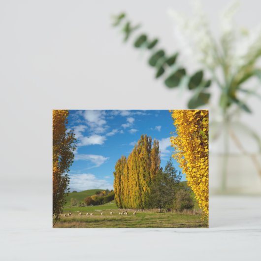 Boerderij Pasture met schaap Briefkaart (Staand voorkant)