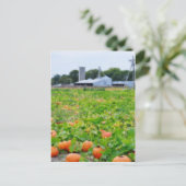 Boerderij pompoen briefkaart (Staand voorkant)