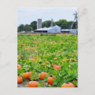 Boerderij pompoen briefkaart