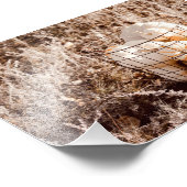 Boerderij Pompoen Harvest Basket Foto Afdruk (Hoek)