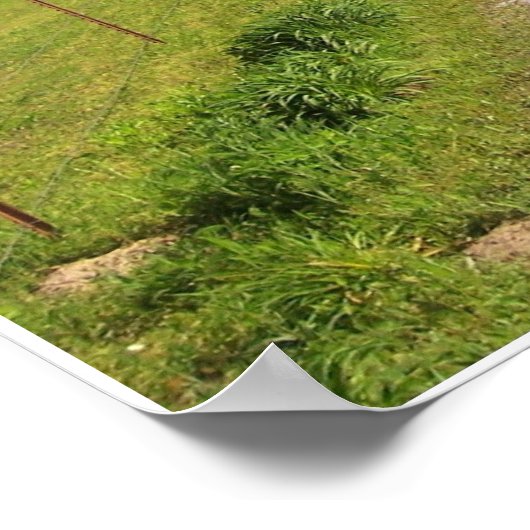 Boerderij Poster (Hoek)