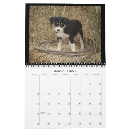 Boerderij Puppies Agenda Kalender (Jan 2027)
