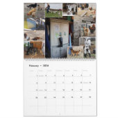 Boerderij-Rasdieren: Paarden, geiten, gezelschapsd Kalender (Feb 2026)