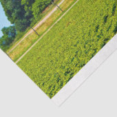 Boerderij rood streepjesweefsel ontkoppelen papier (Detail)