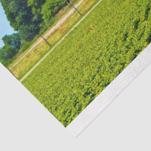 Boerderij rood streepjesweefsel ontkoppelen papier (Detail)