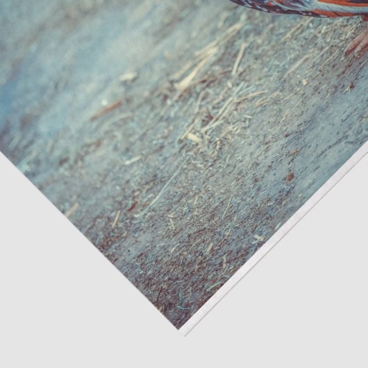 Boerderij Rooster kleurig debetpapier Tissuepapier (Detail)