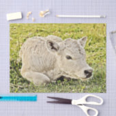 Boerderij Rustiek Land Decoupage Tissuepapier (Craft)