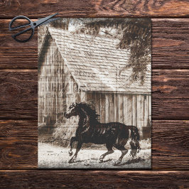 Boerderij Rustieke Schuur Paard Decoupage Tissuepapier