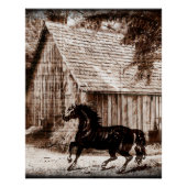 Boerderij Rustieke Schuur Paard Perfect Poster (Voorkant)