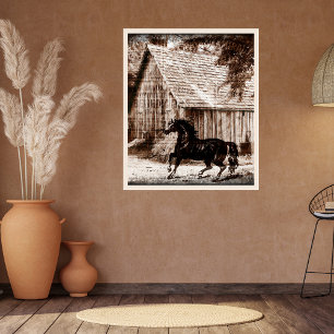 Boerderij Rustieke Schuur Paard Perfect Poster