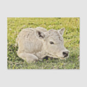 Boerderij Rustisch land ontkoppeling Tissuepapier (Voorkant)