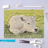 Boerderij Rustisch land ontkoppeling Tissuepapier (Craft)