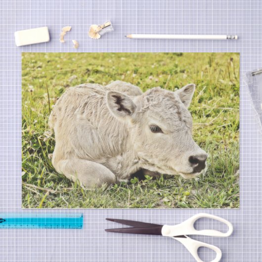 Boerderij Rustisch land ontkoppeling Tissuepapier (Craft)