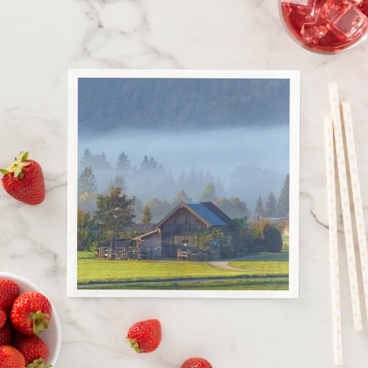 Boerderij Scene 3 Servet (Insitu)