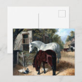 Boerderij Scene met paarden Briefkaart (Voorkant / Achterkant)
