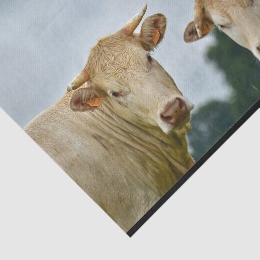 Boerderij Tan Koeien Foto Tissuepapier (Detail)