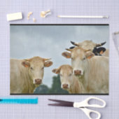 Boerderij Tan Koeien Foto Tissuepapier (Craft)