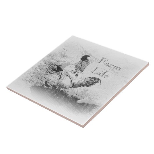 Boerderij Tegeltje (Zijkant)